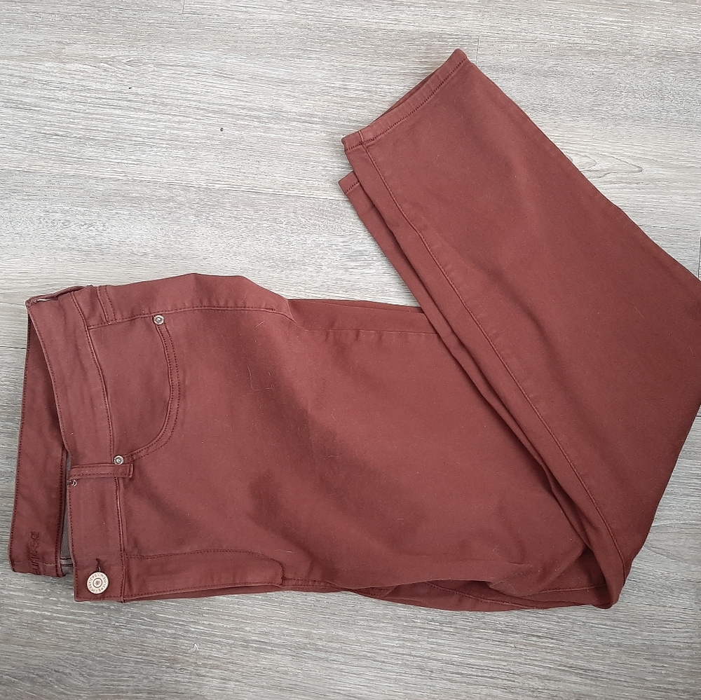 Maroon Plus Size Stretchy Jean